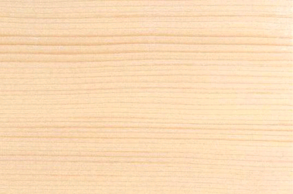 White Deal 19 X 50mm x 2.1m