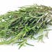 Suttons Seeds - Rosemary