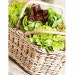Suttons Seeds - Lettuce - Mix