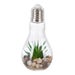 Artificial Plant LED Bulb - Assorted
