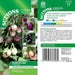 Aubergine Seeds - Patio Mix