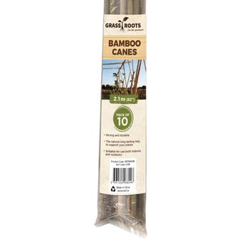 Grass Roots Pre-Packed Bamboo Canes Natural - Pack of 10