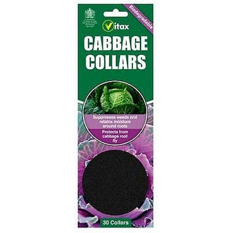 Vitax 30pc Cabbage Collars