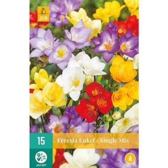 Freesia Single Mix Flower Bulbs - Pack Of 15
