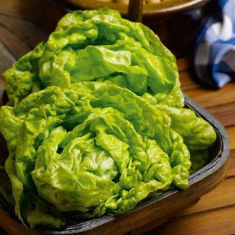 Suttons Seeds - Lettuce - All The Year Round