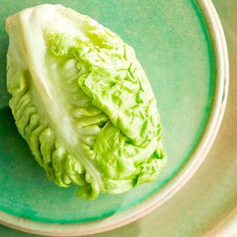 Suttons Seeds - Cos Lettuce - Little Gem