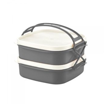 2-Layer Tetra Lunch Box