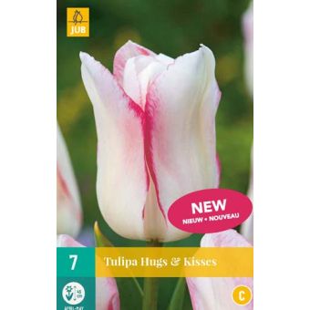 Hugs & Kisses Flower Bulbs - Pack of 7