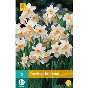 Daffodil (Narcissus Bell Song) Bulbs - Pack Of 5