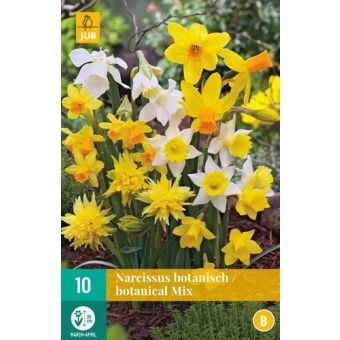 Botanical Mix Flower Bulb - Pack of 10