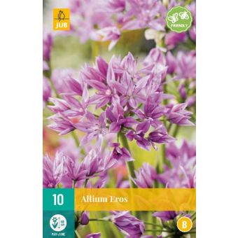 Allium Eros Flower Bulb - Pack of 10