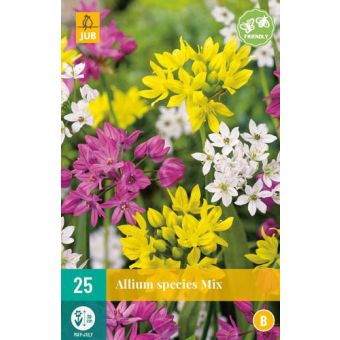 Allium Species Mix Flower Bulb - Pack of 25