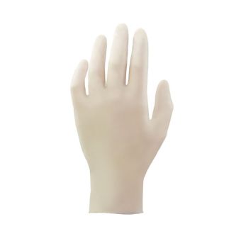 F.F. Group 100pc Powder Free Disposable Latex Gloves - L