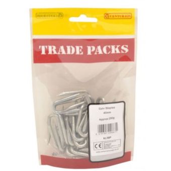 Galvanised Steel Staples - 40mm (250g)