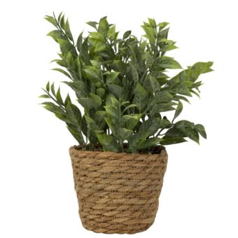 Artificial Green Plant in Seagrass Planter – 28cm | Lifelike Decorative Plant for Home & Office