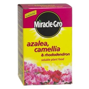 Miracle-Gro Water Soluble Azalea, Camellia, Rhododendron Plant Food - 500g