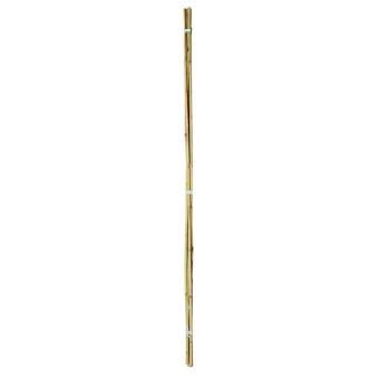 Ambassador 2ft Bamboo Canes - Pack Of 20