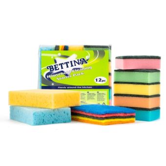 Bettina Household Cleaning Starter Pack - 12 Piece