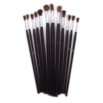 12 Piece Artists Paint Brush