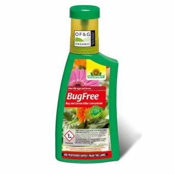 Neudorff BugFree Bug and Larvae Killer Concentrate - 250ml