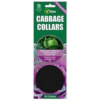 Vitax 30pc Cabbage Collars
