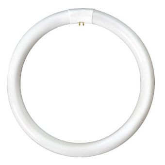 60W T9 Triphosphor Circular Tube - 4 Pin, 3000K