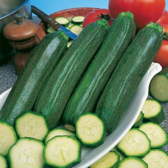 Courgette All Green Bush