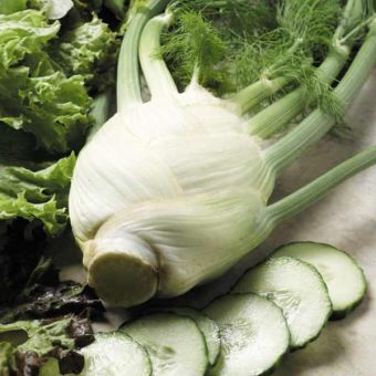 Suttons Sirio Florence Fennel Seeds - Pack Of 500