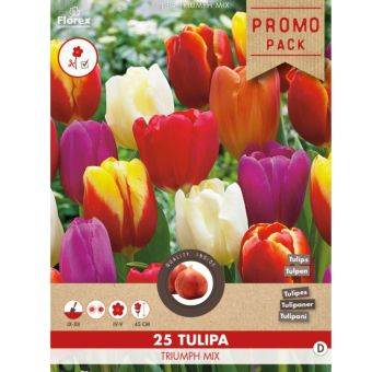 Florex Tulip Triumph Mix - 25 pieces