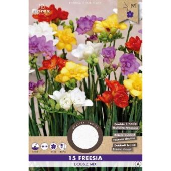 Freesia Double Mix