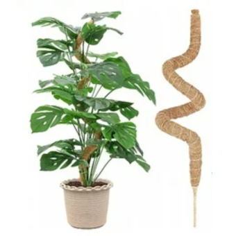 Green Blade 25 Inch Bendable Moss Poles for Climbing Plants Indoor and Outdoor Support - Pack of 2