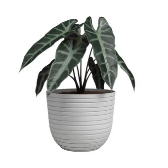 Havana Horizon Pot 40cm - Limestone