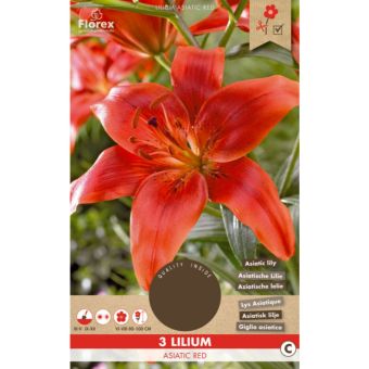 Lilium Asiatic Red