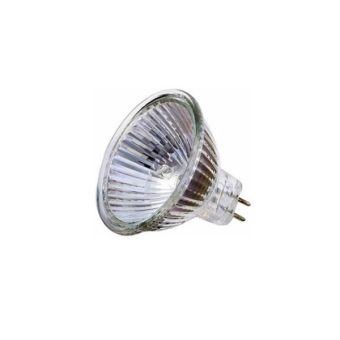 12V Halogen Dichroic MR16 - 35w