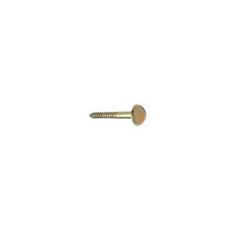 Mirror Screw 1.1/4" Brass 38mm