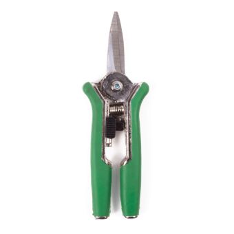 Pruning Shears Flowers Straight