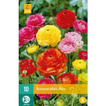 Ranunculus Mix - Pack of 10