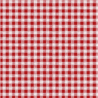 Red gingham pattern wipe clean oilcloth/tablecloth