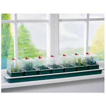 Super 7 Windowsill Propagator