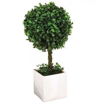 Boxwood Ball Topiary Ball 38cm