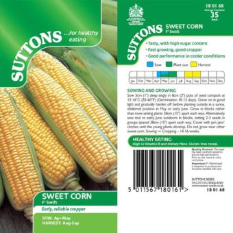 Sweet Corn F1 'Swift' - Seeds