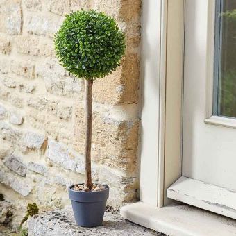Uno Topiary Tree 40cm
