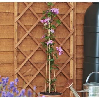 GreenBlade Expanding Wooden Trellis