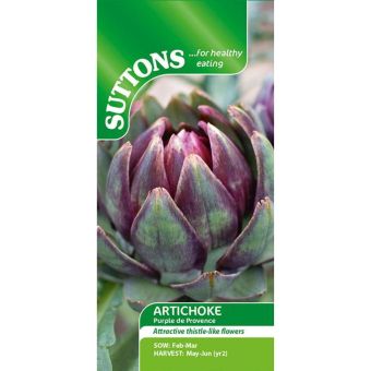 Artichoke Purple de Provence Seeds – Ornamental and Edible Perennial for Garden and Pollinator Support