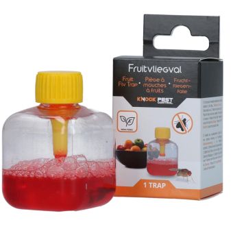 Knock Pest Fruit Fly Trap I Ready-to-Use Non-Toxic Indoor Trap for Kitchens and Food Areas