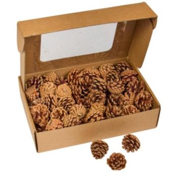 Decorative Pine Cones 600g – Natural Autumn and Winter Home Décor for Crafts, Table Displays, Wreaths and Seasonal Decorating