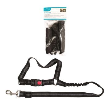 Ashley Adjustable Headrest Pet Seat Belt and Car Safety Leash for Dogs Up to 30kg