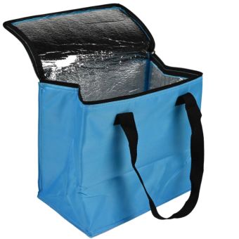 Benson Insulated Cooler Bag for Travel Picnics and Outdoor Use 12L