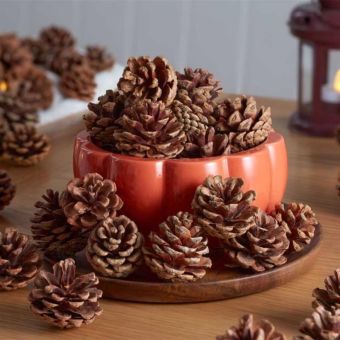 Decorative Pine Cones 600g – Natural Autumn and Winter Home Décor for Crafts, Table Displays, Wreaths and Seasonal Decorating