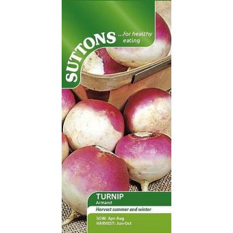 Turnip Seeds - Armand